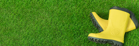 Yellow boots on a green lawn in the garden. Yellow saplings on a background of green grassの写真素材
