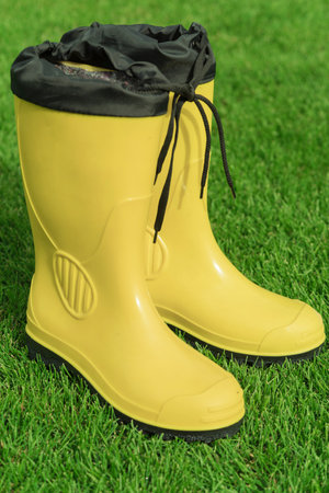 Yellow boots on a green lawn in the garden. Yellow saplings on a background of green grassの写真素材