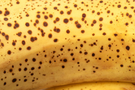 Yellow color, banana texture - micro image. Texture of ripe organic banana closeupの写真素材