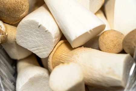 Forest mushrooms in the forest on a natural background. Close-up photoの写真素材