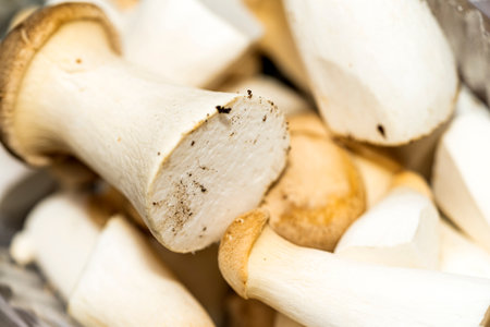 Forest mushrooms in the forest on a natural background. Close-up photo