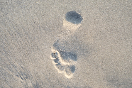 Beach with summer landscape with white sand and calm sea. Perfect beach vacation and summer vacation conceptの写真素材