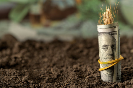 Money growth in soil with green leaves and trees concept, business and farming success finance....