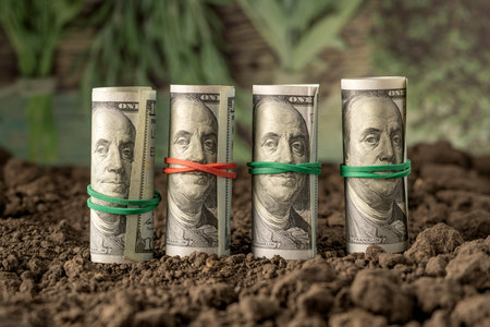 Growth of money in the soil with the concept of financing success in business and agriculture. The concept of growing agricultural plants in the gardenの写真素材