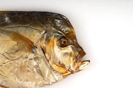 Vomer smoked fish on a white backgroundの写真素材