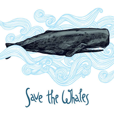 Hand Drawn Whale Illustration In Blue Waves. Save The Whalesのイラスト素材