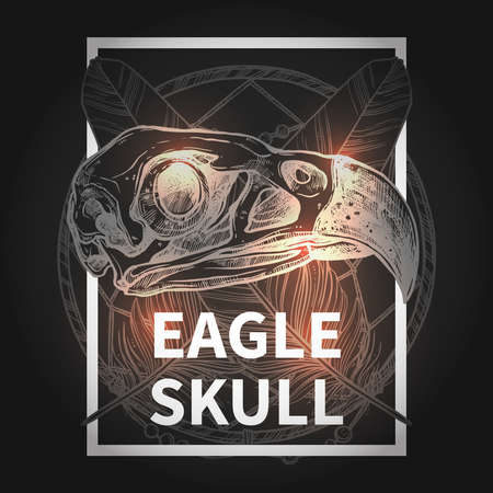 Fashionable Hipster Design With Eagle Skull On Black Backgroundのイラスト素材