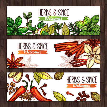 Herbs And Spice. Collection Of Bannersのイラスト素材