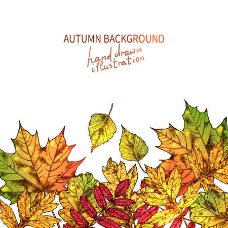Autumn Leaves Background With Place For Your Textのイラスト素材