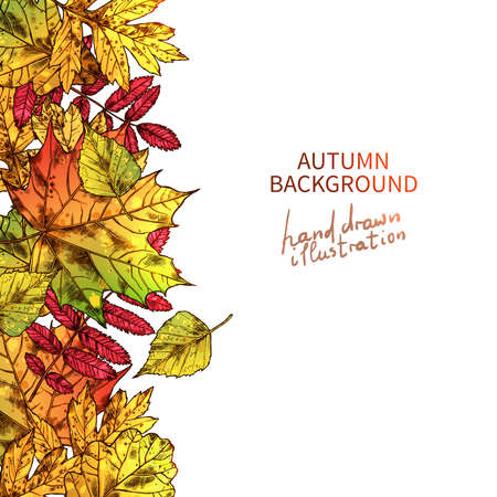Autumn Leaves Background With Side Composition And With Place For Your Textのイラスト素材