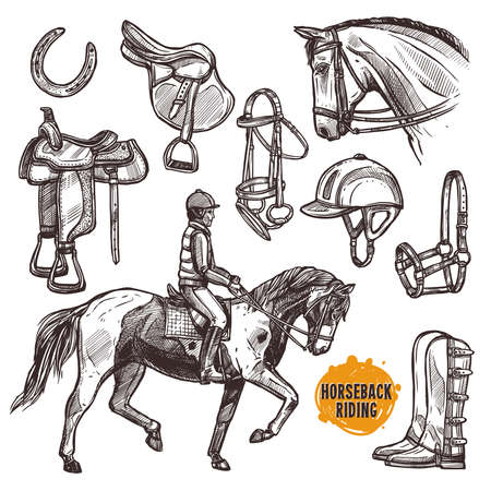Hand Drawn Equipment For Horses. Horse And Horseback Riding Sketch Setのイラスト素材