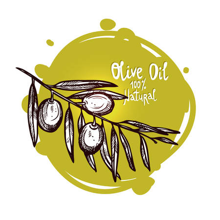 Hand Drawn Green Olives On Branch With Leaves Isolated. Monochrome Sketch Style. Olive Branch With Labelのイラスト素材