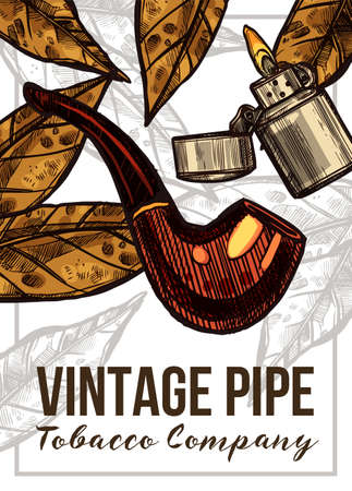 Vector color hand drawn poster with sketch vintage retro pipe, lighter and tobacco leaves. Template of design about smokingのイラスト素材