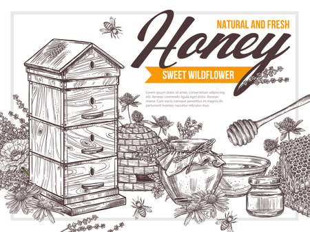 Natural flower floral honey vector drawing poster with wooden hive, pot of sweet dessert, bee, honeycomb, stick. Hand drawb background. Sketch design for beekeepingのイラスト素材