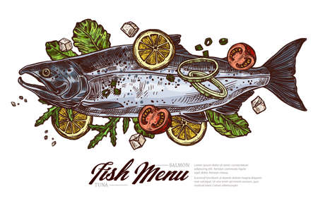 Top view raw salmon. Fish meat for grill and barbecue with greenery and lemon. Restaurant seafood dish. Vector color drawing engraved sketch. Food illustrationのイラスト素材