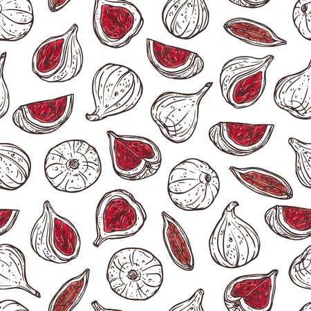 Figs hand drawn vector seamless pattern. Ripe delicious exotic fruits creative backdrop. Asian whole, sliced and chopped fig outline background. Fruits sketches for wrapping paper, wallpaperのイラスト素材