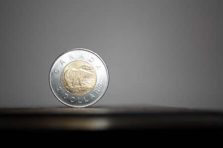 toonie canadian dollars coin 