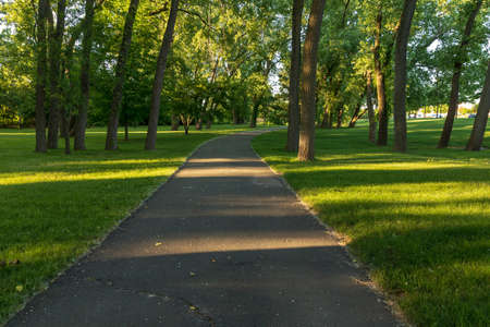 Asphalt road in green forest and grass