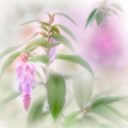 Soft Garden Balsam Background for Invitations and Scrapbooking. Generative AIの素材