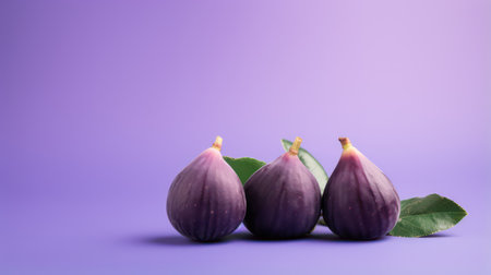 Fresh figs with leaves on a purple background. Copy space.の素材