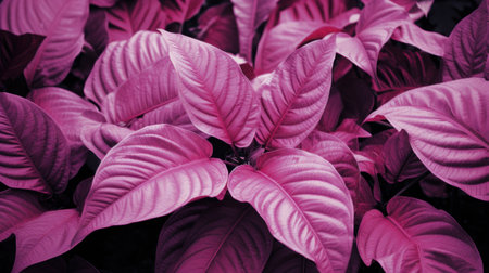Beautiful pink background with leaves of ornamental plants, stock photo Generative AIの素材