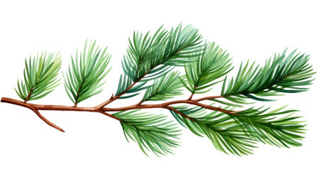 Pine branch isolated on white background. Watercolor hand drawn illustration Generative AIの素材