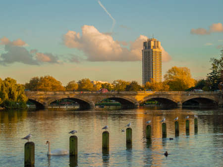 This is the Serpentine Lake in Hyde Park Bridge in London