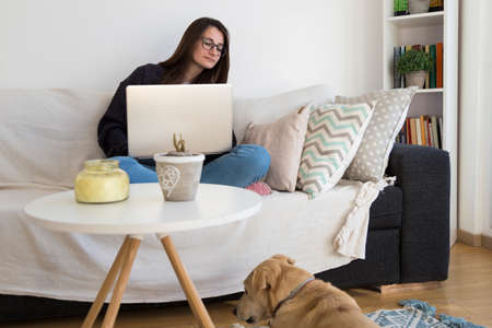 Young woman with a laptop doing home working in companion of her dog.の写真素材