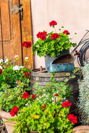 Vintage Objects, Flowers and Backgroundの写真素材