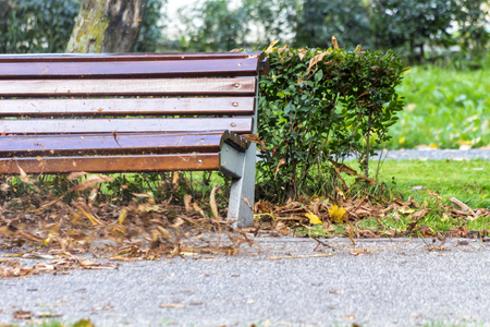 Leaves blowing in the park in front of a benchの写真素材