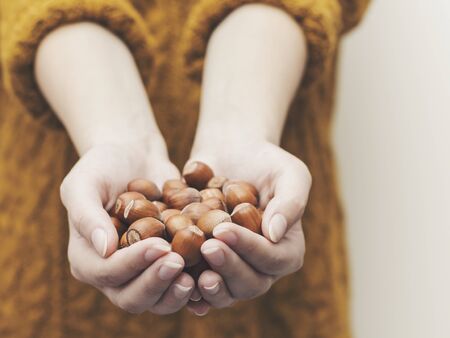 Hands giving hazelnutsの写真素材