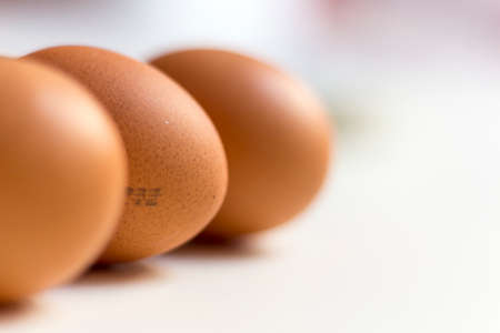 Hen Eggsの写真素材