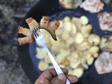 Fried bacon fat - Romanian cuisine made on grill diskの写真素材