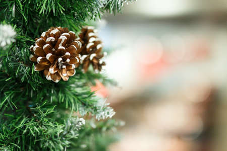 New Year's pine cone with cones with snow taken nearの写真素材