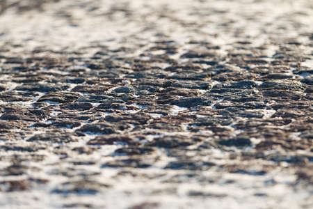 Stone pavement texture, granite cobblestoned pavement background, cobbled stone road regular shapes,...