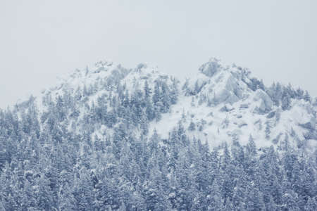 Beautiful winter landscape with snow covered trees in mountainsの写真素材