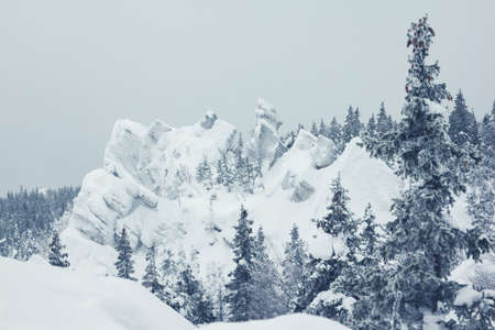 Landscape with mountains, forest and snowfield. Nature park Taganai in winterの写真素材
