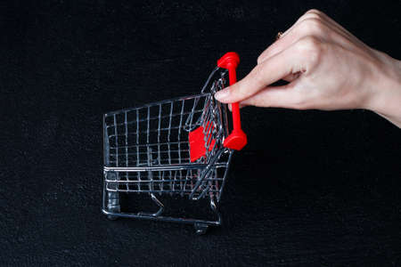 Grocery store chain management, retailing and daily consumer goods trade concept. woman  with a small miniature shopping cart.の写真素材