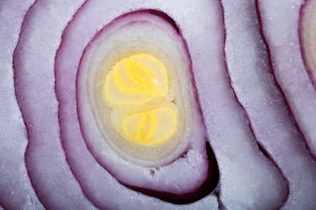 close-up image of onion, background imageの写真素材