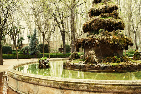 The most important park of Girona called  La Devesa  with old trees planted by Napoleon in 1850 の写真素材