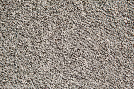 Texture of calcareous stone. Can see fossils zooming the image.の写真素材