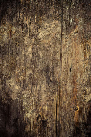 Wooden panel making texture backgroundの写真素材