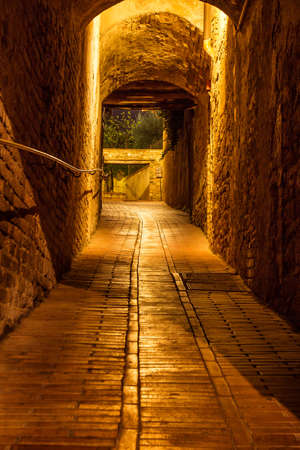 Urban landscape about San Gimignano at night. Tuscany, Italy.の写真素材