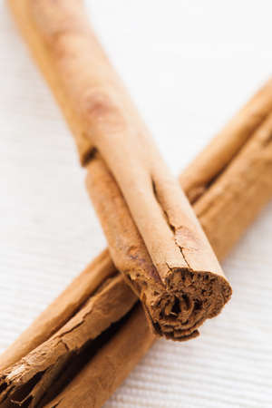 Detail of cinnamon branch with natural.の写真素材