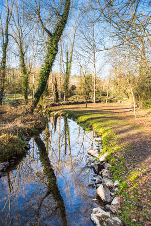 Garrotxa landscapeの写真素材