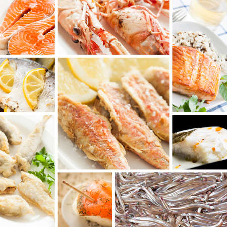 Collection of healthy seafood.の写真素材