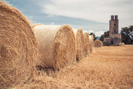 Bales of straw in wheat field, vintage colors.の写真素材