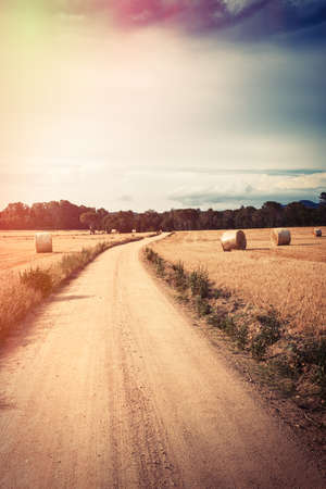 Vintage landscape wheat field. Digital flare edition.の写真素材