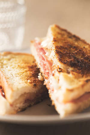 Typical toasted sandwich with cheese and pork ham. Vintage editionの写真素材