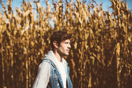 Young bearded man standing in the middle of cornfield, looking awayの写真素材
